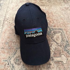 Patagonia hat